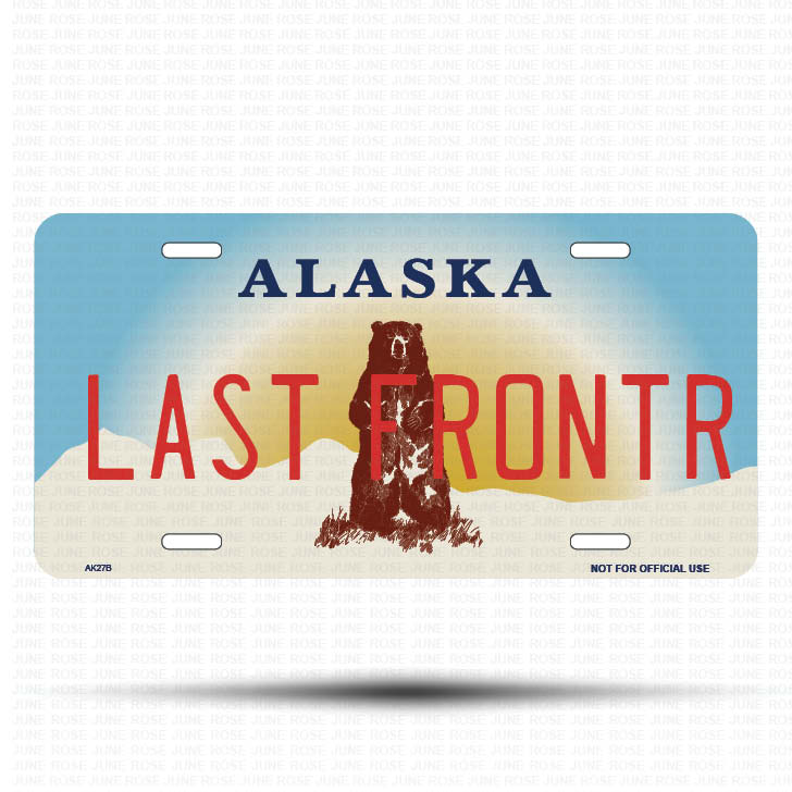 LAST FRONTR Flat Aluminum License Plate | 6" x 12" | State Plate Front View Name Plate