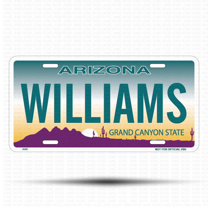 WILLIAMS Flat Aluminum License Plate | 6" x 12" | State Plate Front View Name Plate