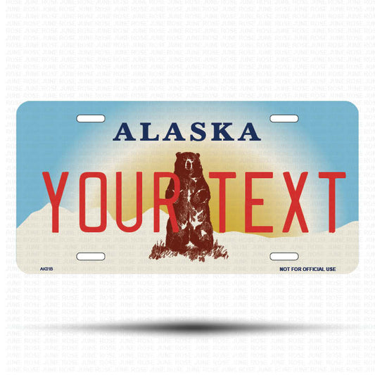 YOUR TEXT Flat Aluminum License Plate | 6" x 12" | State Plate Front View Name Plate