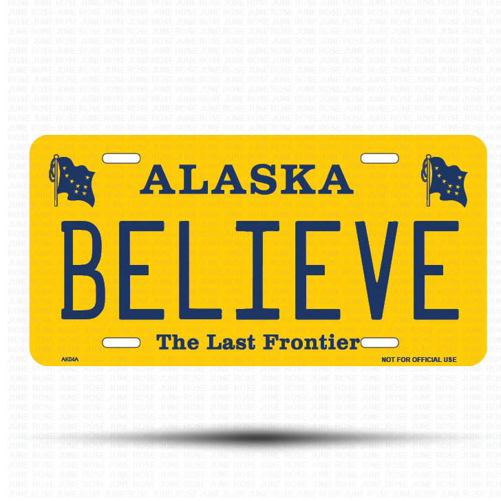 BELIEVE Flat Aluminum License Plate | 6" x 12" | State Plate Front View Name Plate