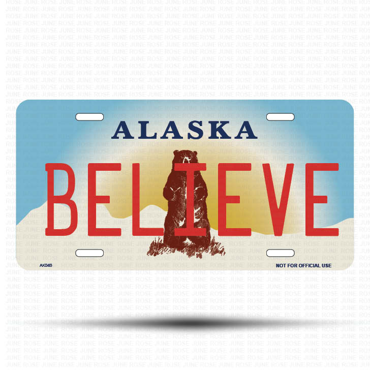BELIEVE Flat Aluminum License Plate | 6" x 12" | State Plate Front View Name Plate