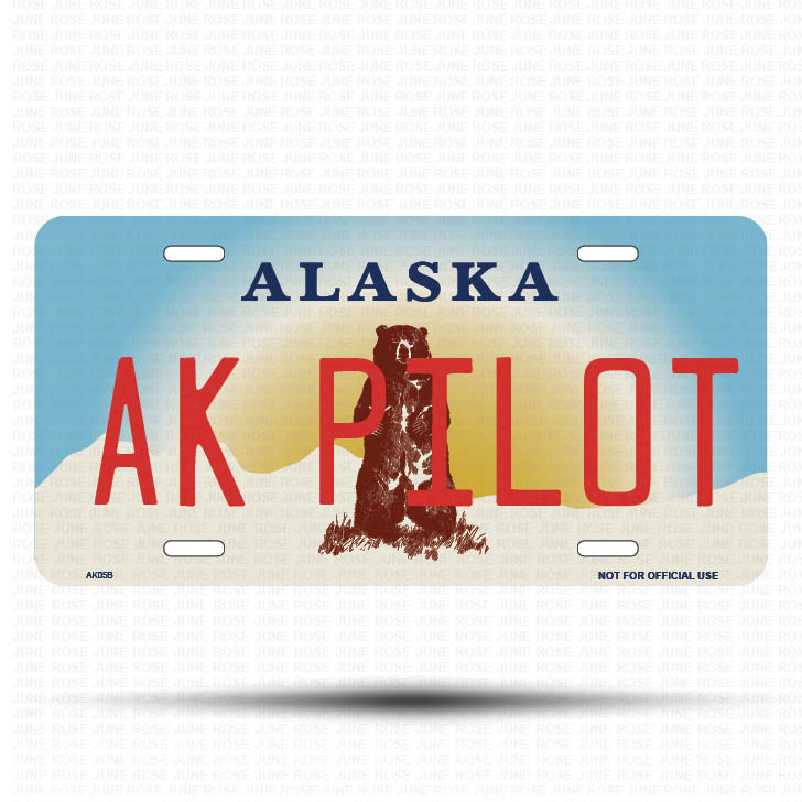 AK PILOT Flat Aluminum License Plate | 6" x 12" | State Plate Front View Name Plate
