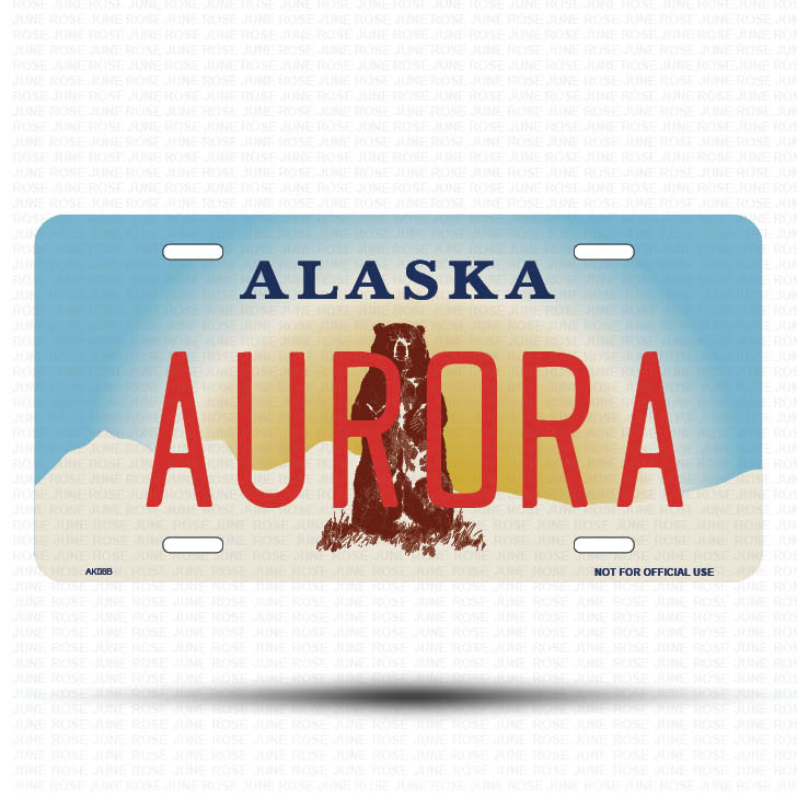 AURORA Flat Aluminum License Plate | 6" x 12" | State Plate Front View Name Plate