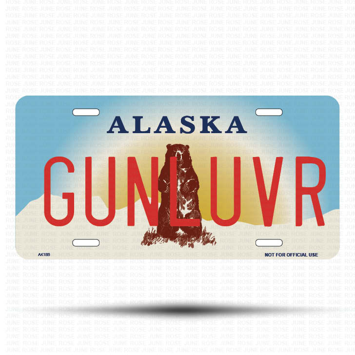 GUNLUVR Flat Aluminum License Plate | 6" x 12" | State Plate Front View Name Plate