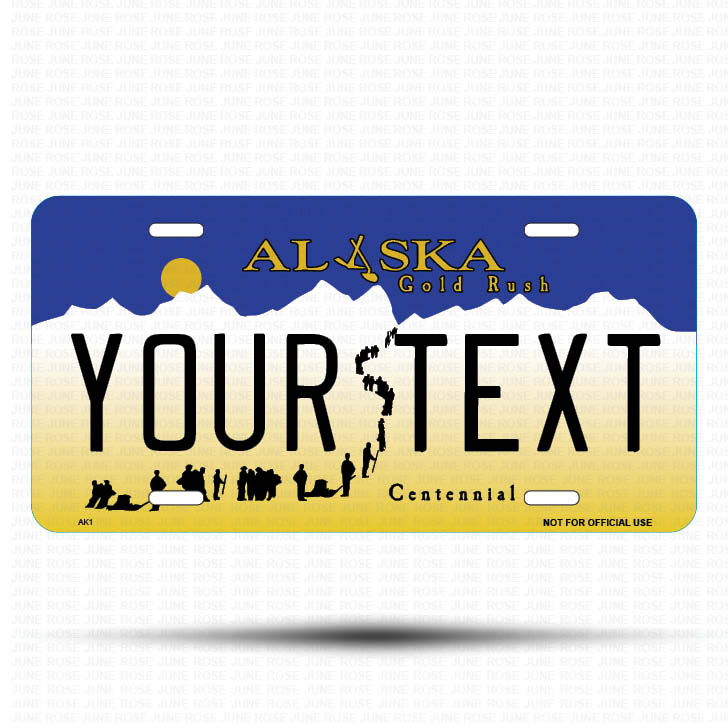 YOUR TEXT Flat Aluminum License Plate | 6" x 12"Front View Name Plate