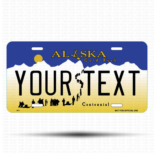 YOUR TEXT Flat Aluminum License Plate | 6" x 12"Front View Name Plate