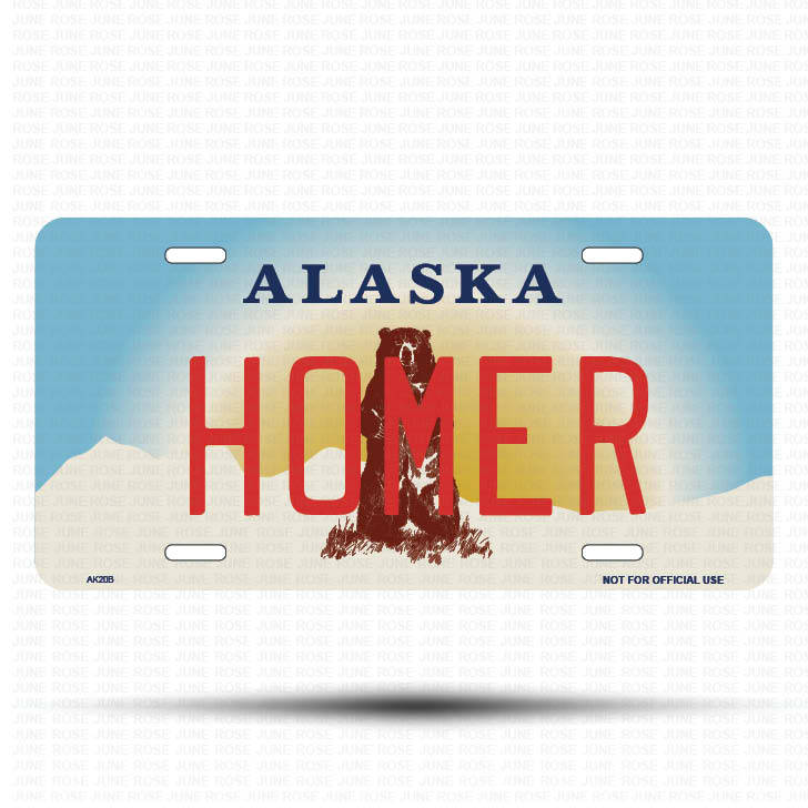 HOMER Flat Aluminum License Plate | 6" x 12" | State Plate Front View Name Plate