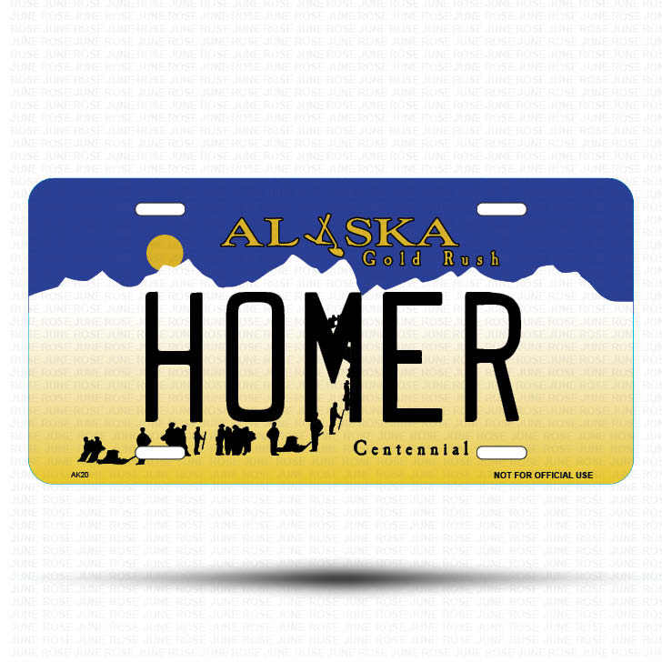 HOMER Flat Aluminum License Plate | 6" x 12"Front View Name Plate