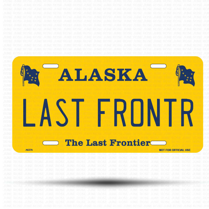 LAST FRONTR Flat Aluminum License Plate | 6" x 12" | State Plate Front View Name Plate