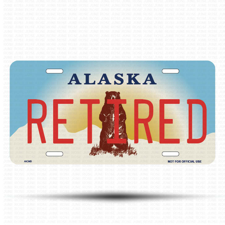 RETIRED Flat Aluminum License Plate | 6" x 12" | State Plate Front View Name Plate