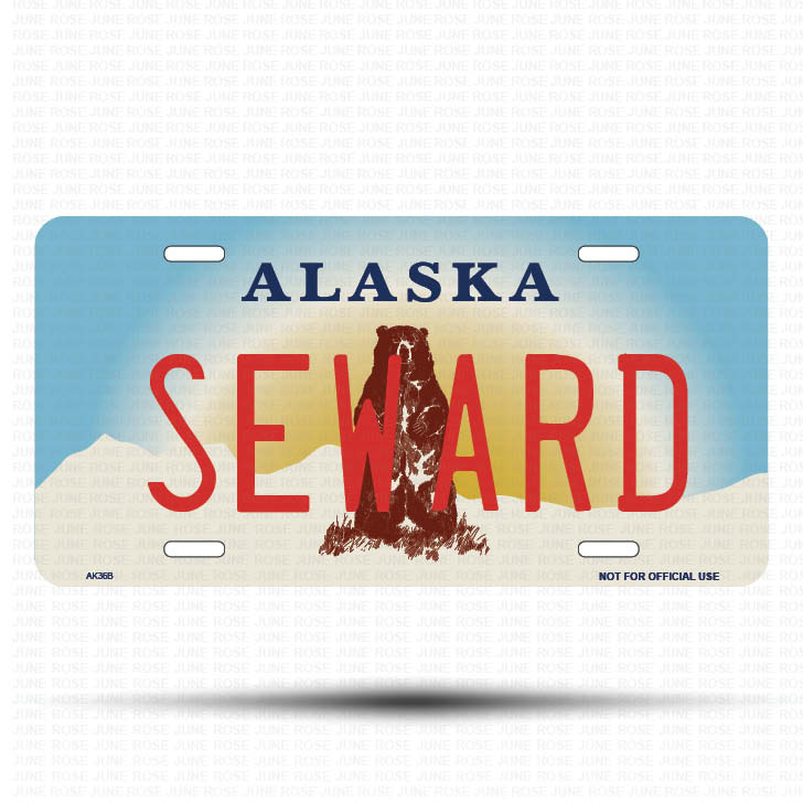 SEWARD Flat Aluminum License Plate | 6" x 12" | State Plate Front View Name Plate