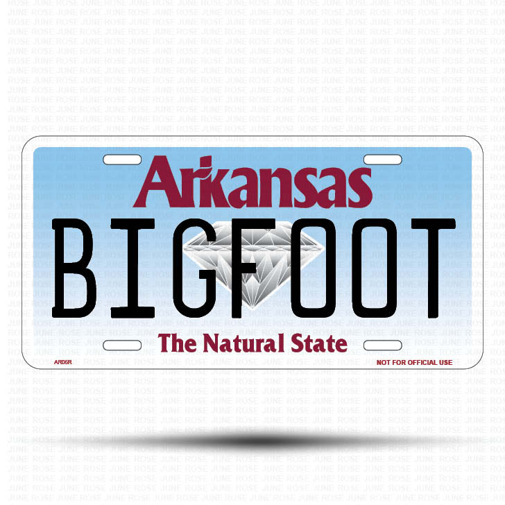 FAITH Flat Aluminum License Plate | 6" x 12" | State Plate Front View Name Plate