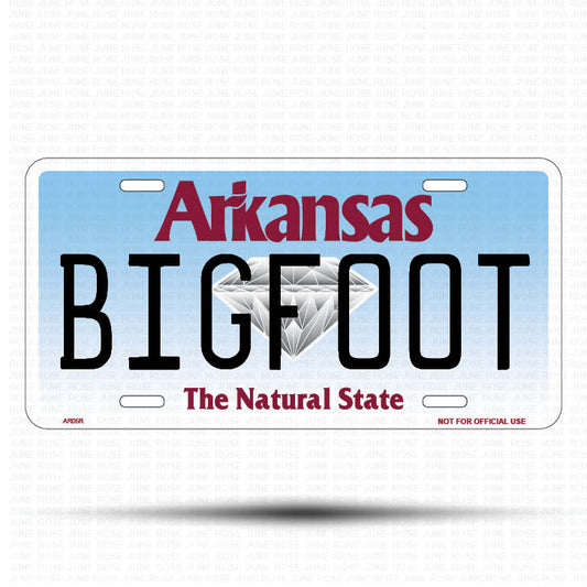 FAITH Flat Aluminum License Plate | 6" x 12" | State Plate Front View Name Plate