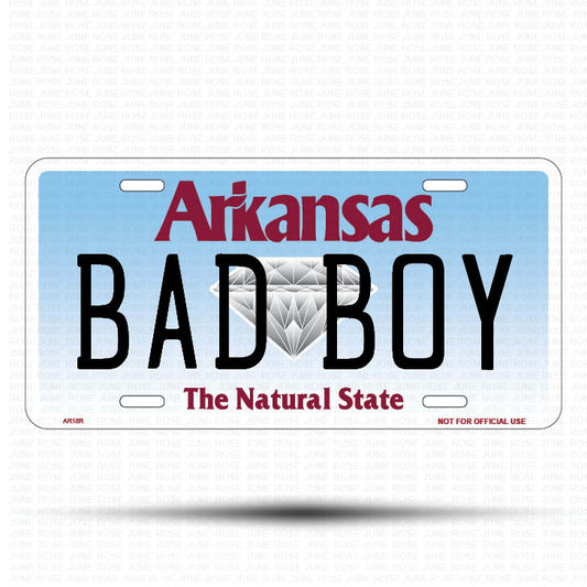 SEXY Flat Aluminum License Plate | 6" x 12" | State Plate Front View Name Plate