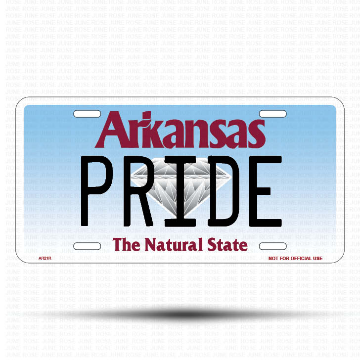 BAD BOY Flat Aluminum License Plate | 6" x 12" | State Plate Front View Name Plate