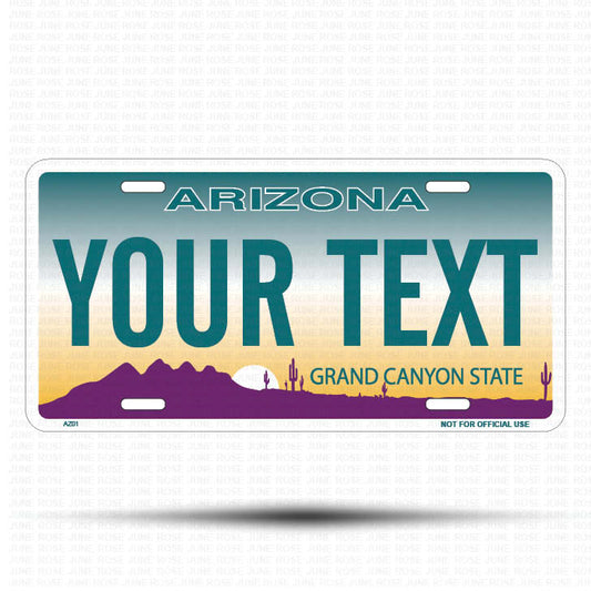 YOUR TEXT Flat Aluminum License Plate | 6" x 12" | State Plate Front View Name Plate