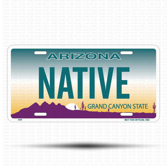NATIVE Flat Aluminum License Plate | 6" x 12" | State Plate Front View Name Plate