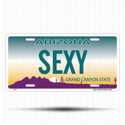 SEXY Flat Aluminum License Plate | 6" x 12" | State Plate Front View Name Plate