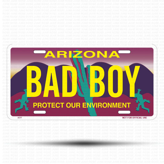 BAD BOY Flat Aluminum License Plate | 6" x 12" | State Plate Front View Name Plate"Arizona Protect Our Environment