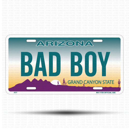 BAD BOY Flat Aluminum License Plate | 6" x 12" | State Plate Front View Name Plate