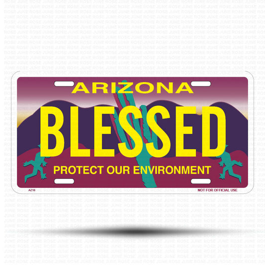 BLESSED Flat Aluminum License Plate | 6" x 12" | State Plate Front View Name Plate"Arizona Protect Our Environment