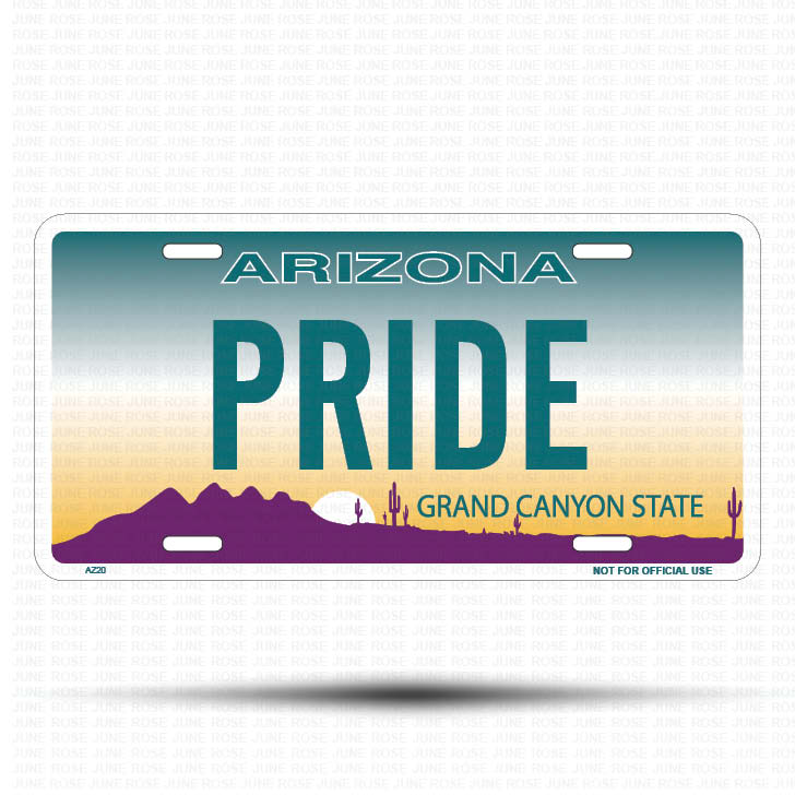 PRIDE Flat Aluminum License Plate | 6" x 12" | State Plate Front View Name Plate