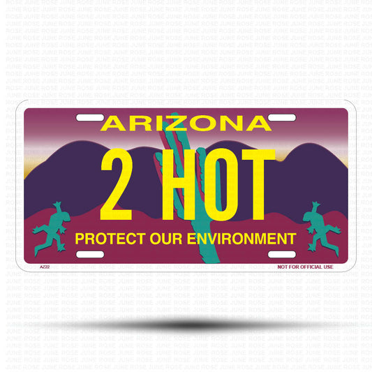 2 HOT Flat Aluminum License Plate | 6" x 12" | State Plate Front View Name Plate"Arizona Protect Our Environment