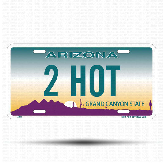 2 HOT Flat Aluminum License Plate | 6" x 12" | State Plate Front View Name Plate