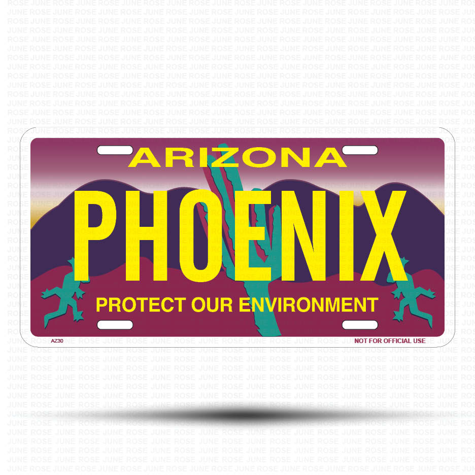 PHOENIX Flat Aluminum License Plate | 6" x 12" | State Plate Front View Name Plate"Arizona Protect Our Environment