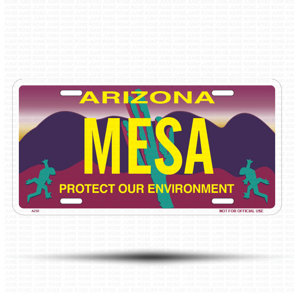 MESA Flat Aluminum License Plate | 6" x 12" | State Plate Front View Name Plate"Arizona Protect Our Environment