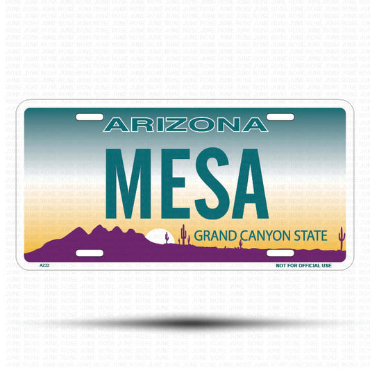 MESA Flat Aluminum License Plate | 6" x 12" | State Plate Front View Name Plate