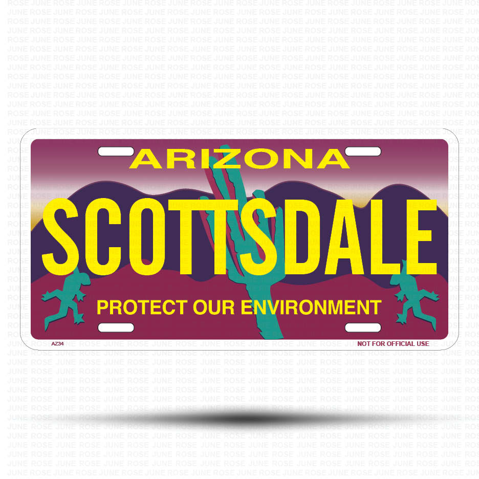 SCOTTSDALE Flat Aluminum License Plate | 6" x 12" | State Plate Front View Name Plate"Arizona Protect Our Environment