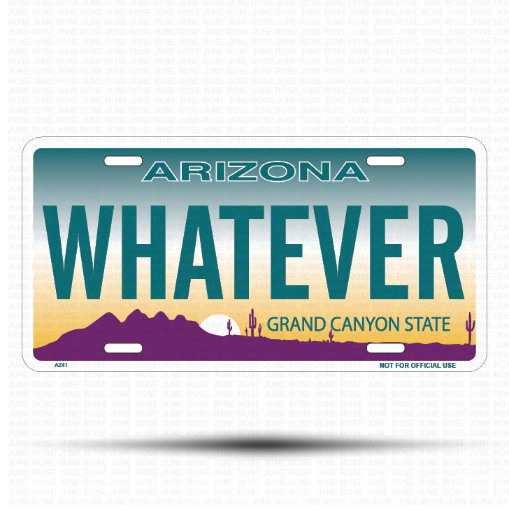 WHATEVER Flat Aluminum License Plate | 6" x 12" | State Plate Front View Name Plate