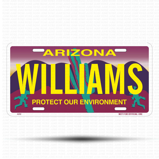 WILLIAMS Flat Aluminum License Plate | 6" x 12" | State Plate Front View Name Plate"Arizona Protect Our Environment