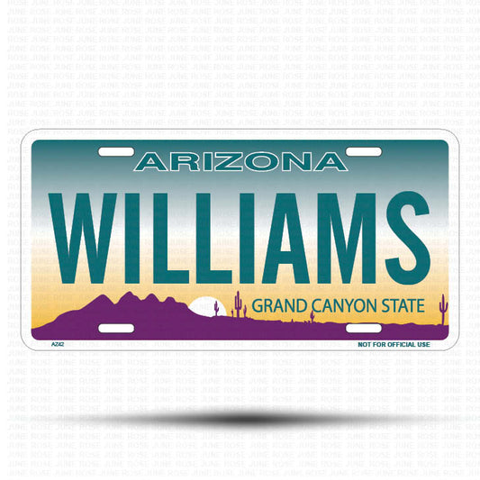 WILLIAMS Flat Aluminum License Plate | 6" x 12" | State Plate Front View Name Plate