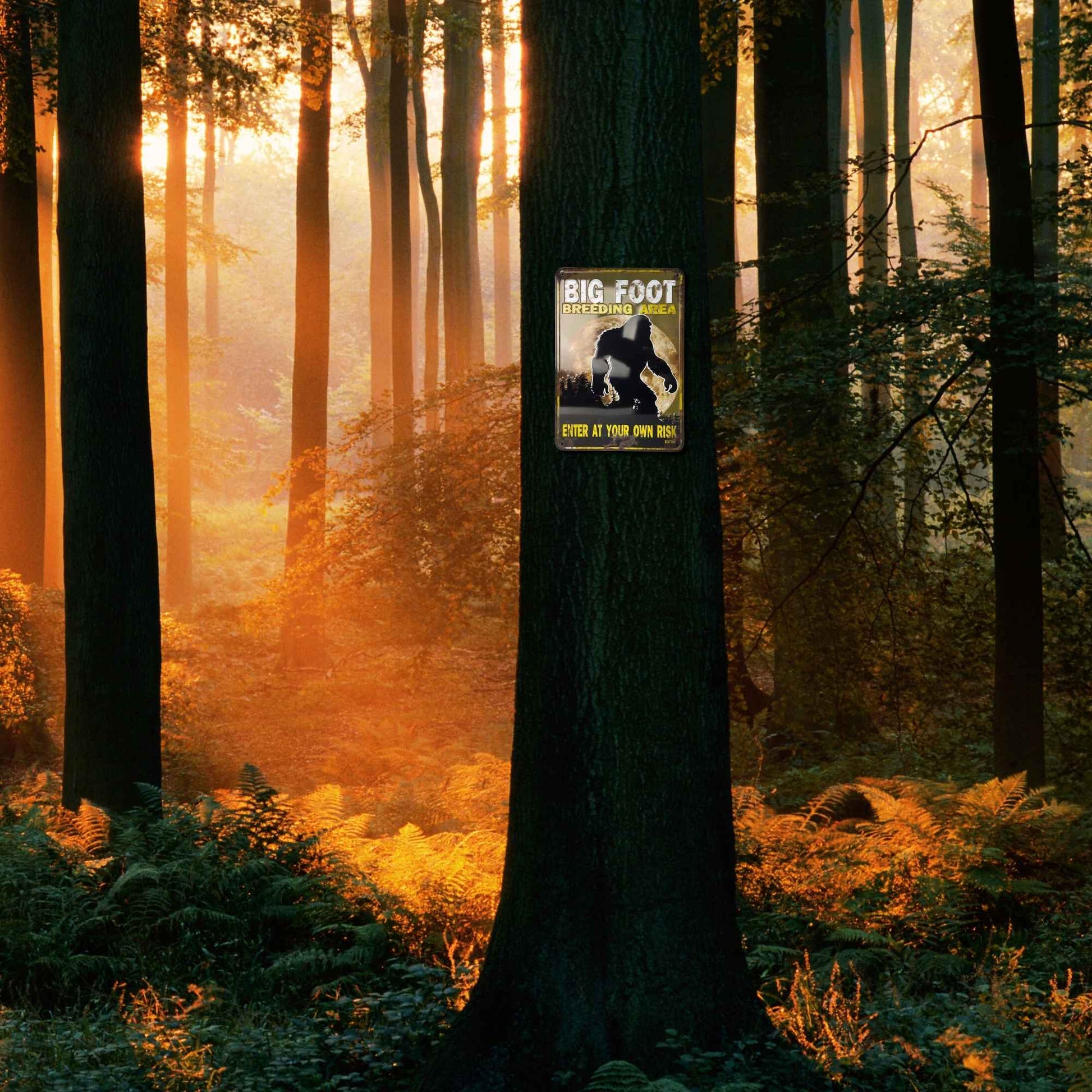 Big Foot Breeding Area Enter At Your Own Risk Forest