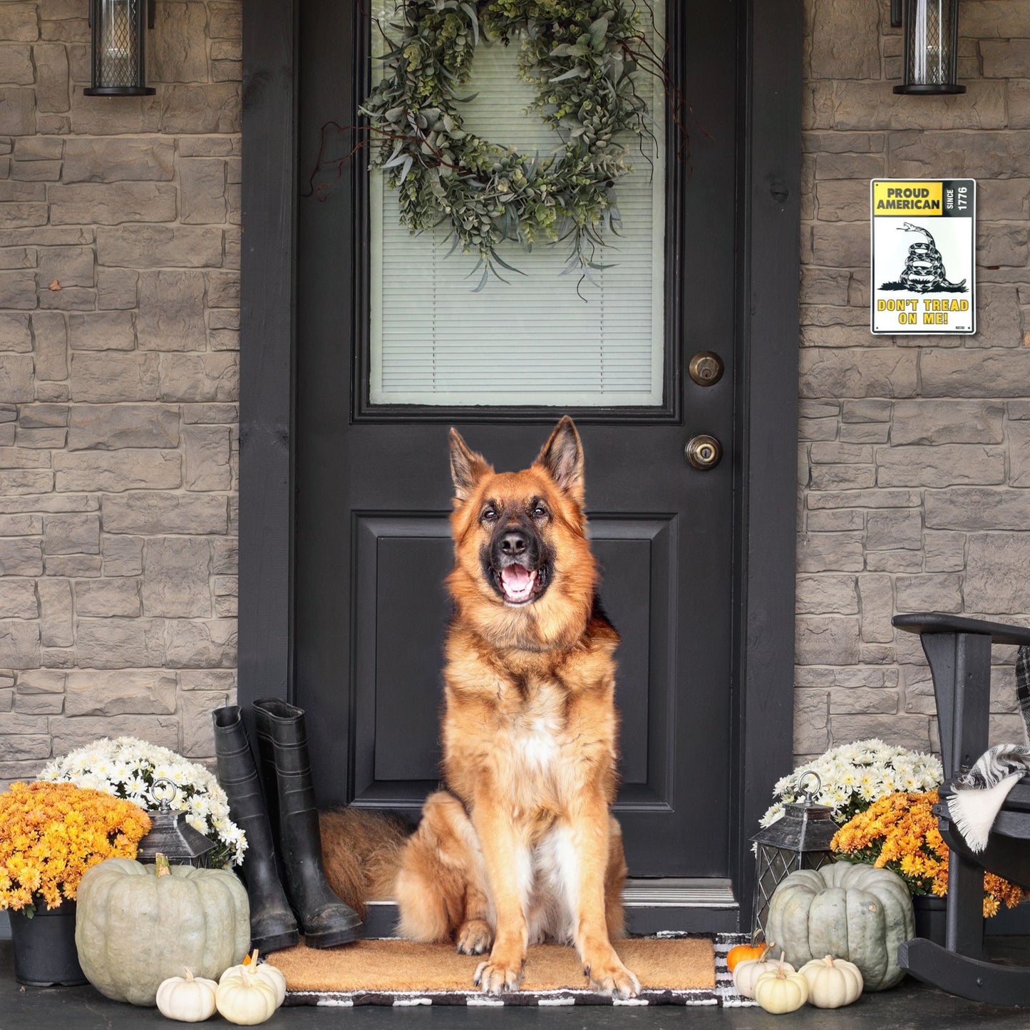 Dog sitting on a doormat in front of a door with Halloween decorations. BM2424-SP